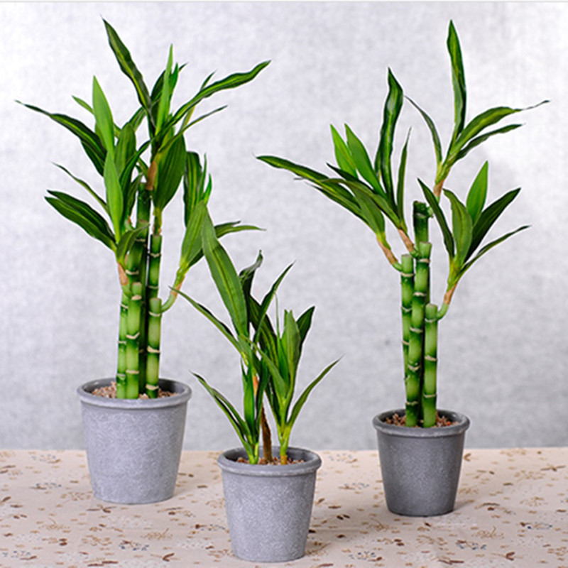Nieuwe 40cm kunstmatige geluks - Desk Setup Plants recensie en prijs