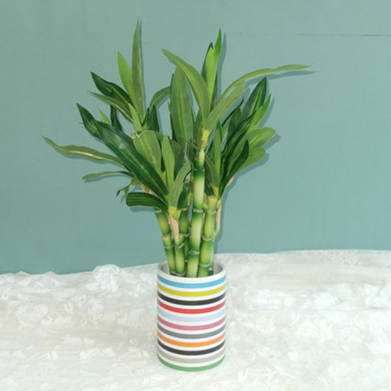 Nieuwe 40cm kunstmatige geluks - Desk Setup Plants recensie en prijs